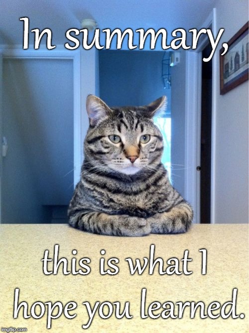 Take A Seat Cat Meme | In summary, this is what I hope you learned. | image tagged in memes,take a seat cat | made w/ Imgflip meme maker