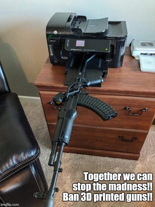 printed guns | Together we can stop
the madness!! Ban 3D printed guns!! | image tagged in 3d printing,guns | made w/ Imgflip meme maker