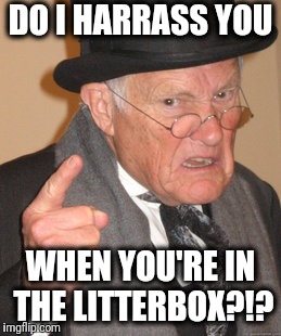 Back In My Day Meme | DO I HARRASS YOU WHEN YOU'RE IN THE LITTERBOX?!? | image tagged in memes,back in my day | made w/ Imgflip meme maker