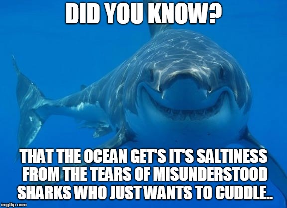 Shark Facts... | DID YOU KNOW? THAT THE OCEAN GET'S IT'S SALTINESS FROM THE TEARS OF MISUNDERSTOOD SHARKS WHO JUST WANTS TO CUDDLE.. | image tagged in smiling shark | made w/ Imgflip meme maker