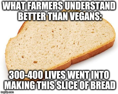Plants are living things too. | WHAT FARMERS UNDERSTAND BETTER THAN VEGANS:; 300-400 LIVES WENT INTO MAKING THIS SLICE OF BREAD | image tagged in memes,bread,farmers,vegans | made w/ Imgflip meme maker