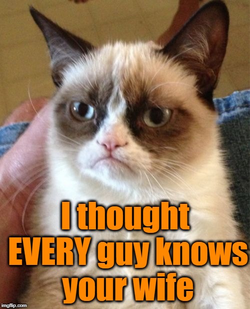 Grumpy Cat Meme | I thought EVERY guy knows your wife | image tagged in memes,grumpy cat | made w/ Imgflip meme maker