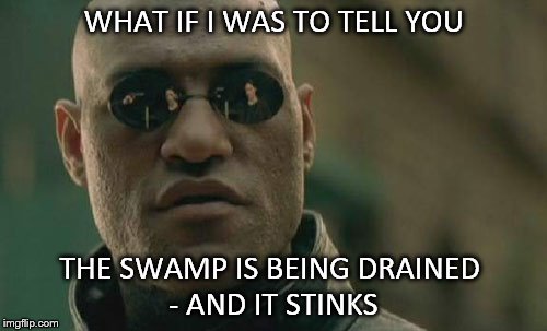 Matrix Morpheus Meme | WHAT IF I WAS TO TELL YOU; THE SWAMP IS BEING DRAINED
 
- AND IT STINKS | image tagged in memes,matrix morpheus | made w/ Imgflip meme maker