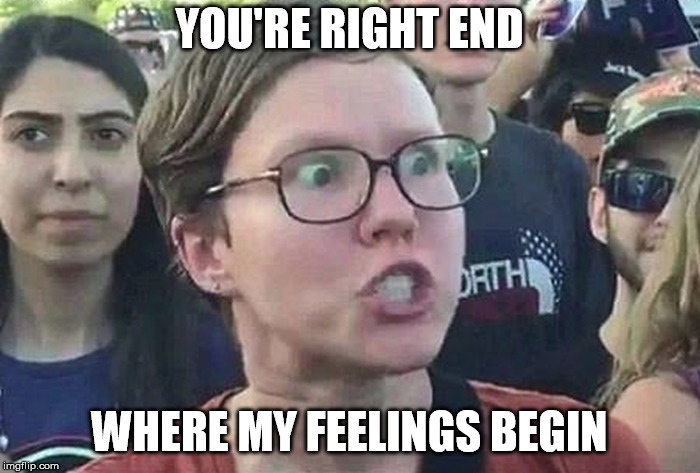 Triggered Liberal | YOU'RE RIGHT END WHERE MY FEELINGS BEGIN | image tagged in triggered liberal | made w/ Imgflip meme maker