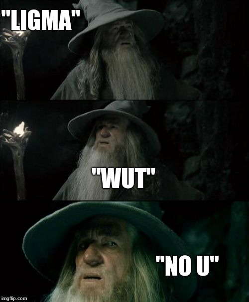 Confused Gandalf | "LIGMA"; "WUT"; "NO U" | image tagged in memes,confused gandalf | made w/ Imgflip meme maker
