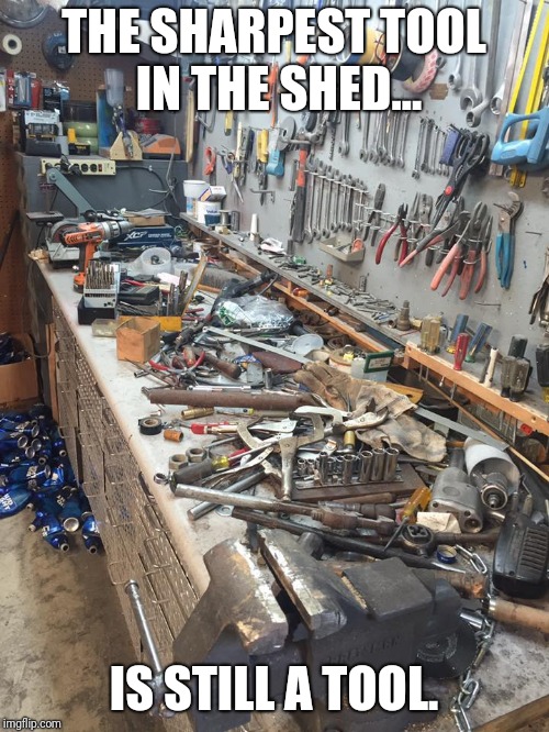FREE RANGE TOOLS | THE SHARPEST TOOL IN THE SHED... IS STILL A TOOL. | image tagged in free range tools | made w/ Imgflip meme maker