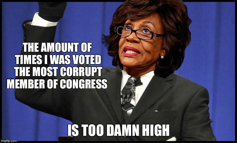 too damn maxine waters | THE AMOUNT OF TIMES I WAS VOTED THE MOST CORRUPT MEMBER OF CONGRESS IS TOO DAMN HIGH | image tagged in too damn maxine waters | made w/ Imgflip meme maker