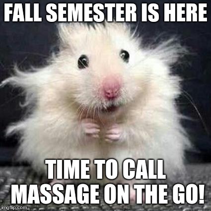 Stressed Mouse | FALL SEMESTER IS HERE; TIME TO CALL MASSAGE ON THE GO! | image tagged in stressed mouse | made w/ Imgflip meme maker