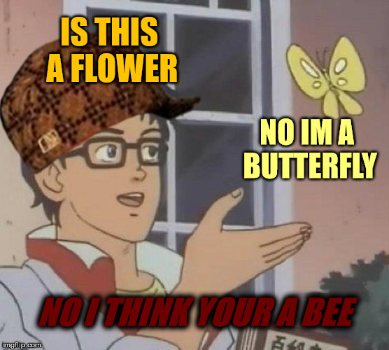 Is This A Pigeon Meme | IS THIS A FLOWER; NO IM A BUTTERFLY; NO I THINK YOUR A BEE | image tagged in memes,is this a pigeon,scumbag | made w/ Imgflip meme maker