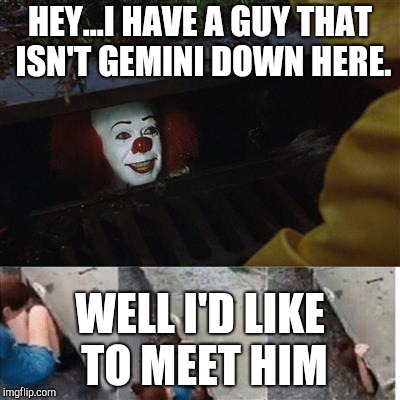 pennywise in sewer | HEY...I HAVE A GUY THAT ISN'T GEMINI DOWN HERE. WELL I'D LIKE TO MEET HIM | image tagged in pennywise in sewer | made w/ Imgflip meme maker