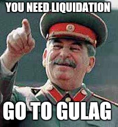 Stalin says | YOU NEED LIQUIDATION GO TO GULAG | image tagged in stalin says | made w/ Imgflip meme maker