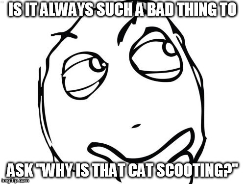 Question Rage Face | IS IT ALWAYS SUCH A BAD THING TO; ASK "WHY IS THAT CAT SCOOTING?" | image tagged in memes,question rage face | made w/ Imgflip meme maker