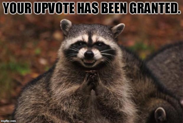 evil genius racoon | YOUR UPVOTE HAS BEEN GRANTED. | image tagged in evil genius racoon | made w/ Imgflip meme maker