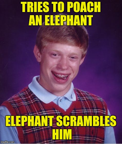 Bad Luck Brian Meme | TRIES TO POACH AN ELEPHANT ELEPHANT SCRAMBLES HIM | image tagged in memes,bad luck brian | made w/ Imgflip meme maker