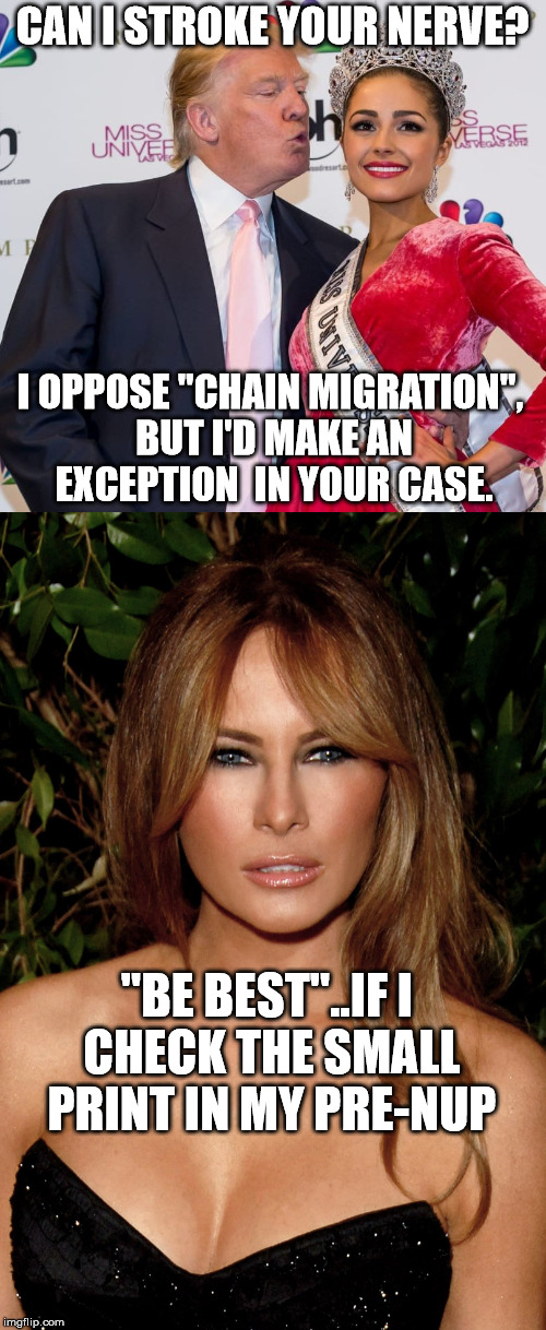 CAN I STROKE YOUR NERVE? I OPPOSE "CHAIN MIGRATION", BUT I'D MAKE AN EXCEPTION  IN YOUR CASE. "BE BEST"..IF I CHECK THE SMALL PRINT IN MY PR | made w/ Imgflip meme maker