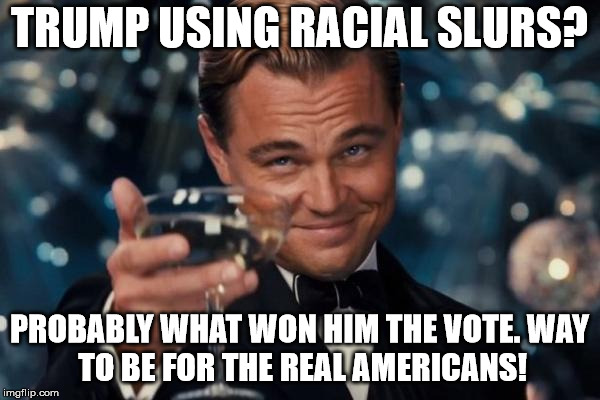 Leonardo Dicaprio Cheers Meme | TRUMP USING RACIAL SLURS? PROBABLY WHAT WON HIM THE VOTE.
WAY TO BE FOR THE REAL AMERICANS! | image tagged in memes,leonardo dicaprio cheers | made w/ Imgflip meme maker
