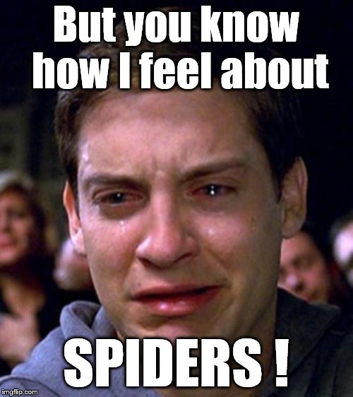 crying peter parker | But you know how I feel about SPIDERS ! | image tagged in crying peter parker | made w/ Imgflip meme maker