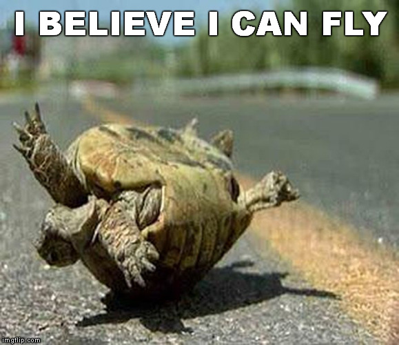 turning turtle ROFL | I BELIEVE I CAN FLY | image tagged in turning turtle rofl | made w/ Imgflip meme maker
