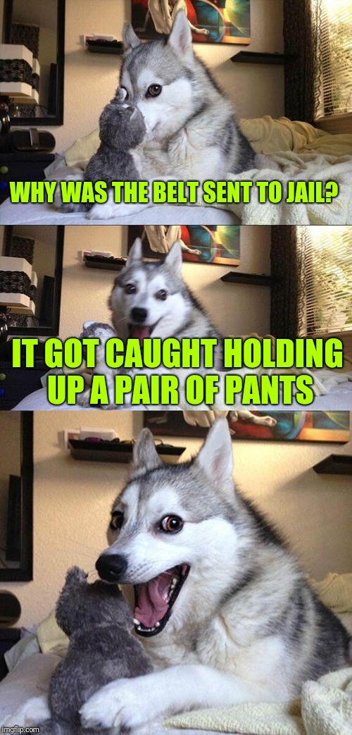 Buckle down | WHY WAS THE BELT SENT TO JAIL? IT GOT CAUGHT HOLDING UP A PAIR OF PANTS | image tagged in memes,bad pun dog,jokes | made w/ Imgflip meme maker