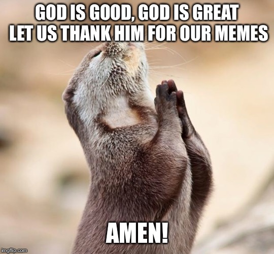 Let us pray  | GOD IS GOOD, GOD IS GREAT LET US THANK HIM FOR OUR MEMES; AMEN! | image tagged in animal praying,memes | made w/ Imgflip meme maker