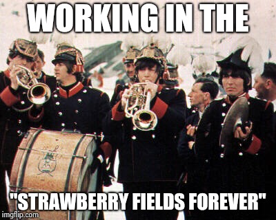 Beatles old school | WORKING IN THE "STRAWBERRY FIELDS FOREVER" | image tagged in beatles old school | made w/ Imgflip meme maker