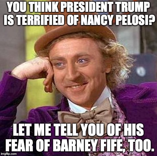 How insane are Liberals? THIS insane. | YOU THINK PRESIDENT TRUMP IS TERRIFIED OF NANCY PELOSI? LET ME TELL YOU OF HIS FEAR OF BARNEY FIFE, TOO. | image tagged in 2018,liberals,fear,nancy pelosi,lol | made w/ Imgflip meme maker