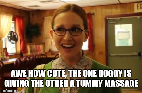 Sexually Oblivious Girlfriend Meme | AWE HOW CUTE, THE ONE DOGGY IS GIVING THE OTHER A TUMMY MASSAGE | image tagged in memes,sexually oblivious girlfriend | made w/ Imgflip meme maker