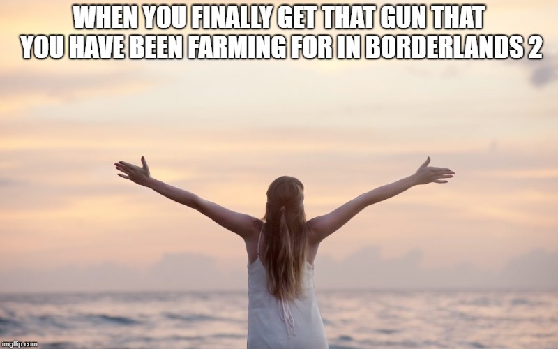 borderlands 2 farming | WHEN YOU FINALLY GET THAT GUN THAT YOU HAVE BEEN FARMING FOR IN BORDERLANDS 2 | image tagged in borderlands,farming,memes,funny memes | made w/ Imgflip meme maker