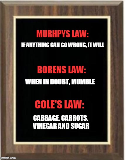 Blank plaque | MURHPYS LAW:; IF ANYTHING CAN GO WRONG, IT WILL; BORENS LAW:; WHEN IN DOUBT, MUMBLE; COLE'S LAW:; CABBAGE, CARROTS, VINEGAR AND SUGAR | image tagged in blank plaque | made w/ Imgflip meme maker