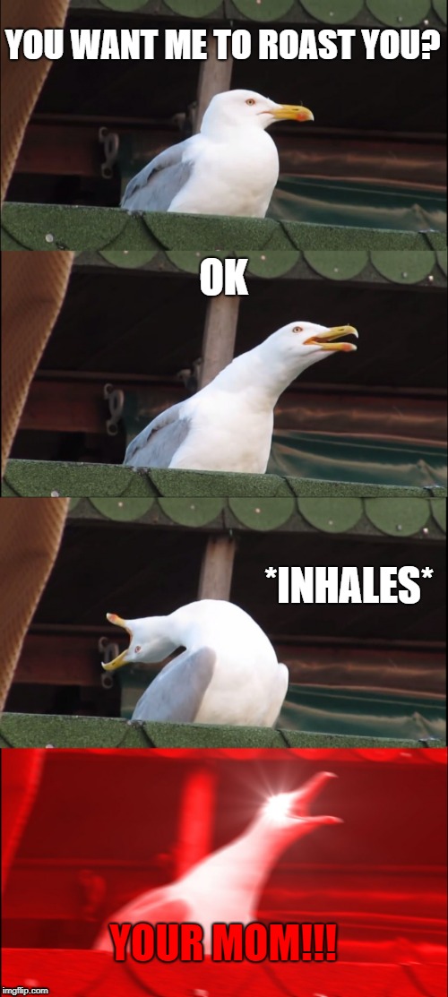 inhaling seagull | YOU WANT ME TO ROAST YOU? OK; *INHALES*; YOUR MOM!!! | image tagged in memes,inhaling seagull,bad roasts | made w/ Imgflip meme maker