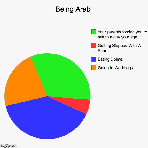 Being Arab | Going to Weddings, Eating Dolma, Getting Slapped With A Shoe., Your parents forcing you to talk to a guy your age | image tagged in funny,pie charts | made w/ Imgflip chart maker