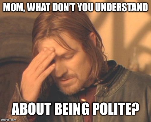 Frustrated Boromir Meme | MOM, WHAT DON’T YOU UNDERSTAND ABOUT BEING POLITE? | image tagged in memes,frustrated boromir | made w/ Imgflip meme maker