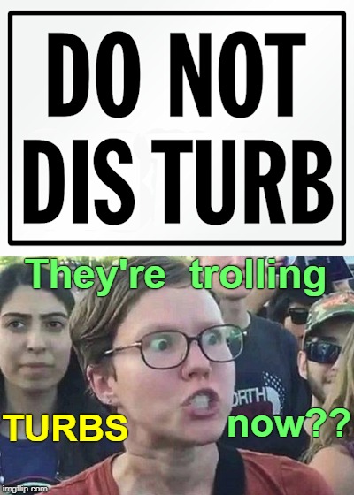 DO NOT DISTURB | They're  trolling; TURBS; now?? | image tagged in memes,triggered,do not disturb | made w/ Imgflip meme maker