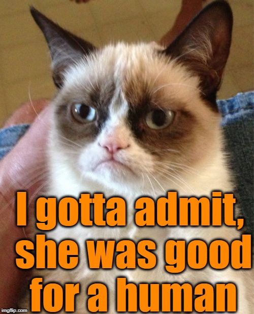 Grumpy Cat Meme | I gotta admit, she was good for a human | image tagged in memes,grumpy cat | made w/ Imgflip meme maker