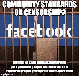 Facebook jail | COMMUNITY STANDARDS OR CENSORSHIP? THERE IS NO SUCH THING AS HATE SPEECH ONLY SNOWFLKES EASILY OFFENDED WITH THE POWER TO CENSOR OTHERS THEY DON'T AGREE WITH | image tagged in facebook jail | made w/ Imgflip meme maker