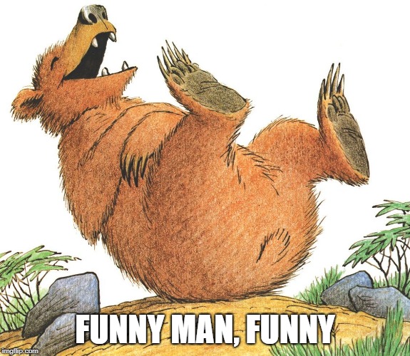 laughing bear,memes | FUNNY MAN, FUNNY | image tagged in laughing bear memes | made w/ Imgflip meme maker