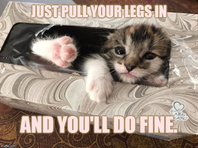 JUST PULL YOUR LEGS IN AND YOU'LL DO FINE. | made w/ Imgflip meme maker