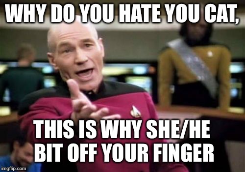 Picard Wtf Meme | WHY DO YOU HATE YOU CAT, THIS IS WHY SHE/HE BIT OFF YOUR FINGER | image tagged in memes,picard wtf | made w/ Imgflip meme maker