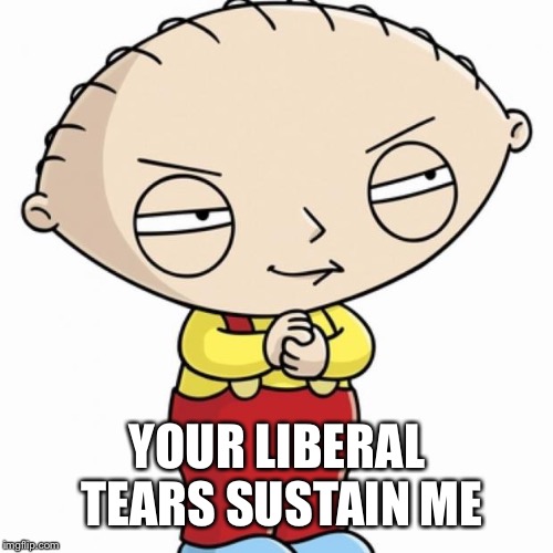 YOUR LIBERAL TEARS SUSTAIN ME | made w/ Imgflip meme maker