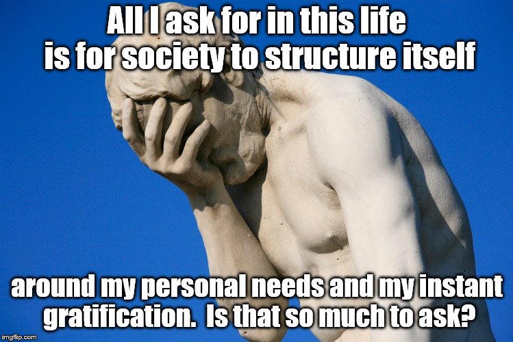Yep, I'm afraid it is. | All I ask for in this life is for society to structure itself; around my personal needs and my instant gratification.  Is that so much to ask? | image tagged in face palm | made w/ Imgflip meme maker