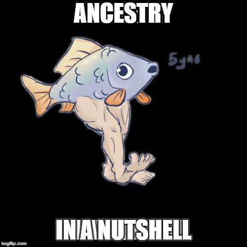 Fish Legs | ANCESTRY; IN A NUTSHELL | image tagged in memes,fish,cringe | made w/ Imgflip meme maker