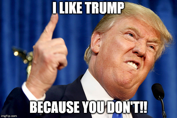 Donald Trump | I LIKE TRUMP; BECAUSE YOU DON'T!! | image tagged in donald trump | made w/ Imgflip meme maker