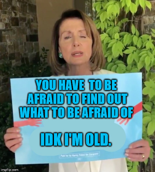 Pelosi sign  | YOU HAVE  TO BE AFRAID TO FIND OUT WHAT TO BE AFRAID OF IDK I'M OLD. | image tagged in pelosi sign | made w/ Imgflip meme maker