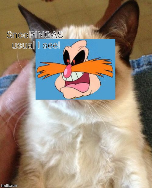 Grumpy Cat Meme | SnooPINGAS usual I see! | image tagged in memes,grumpy cat | made w/ Imgflip meme maker