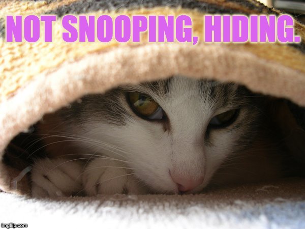 NOT SNOOPING, HIDING. | made w/ Imgflip meme maker