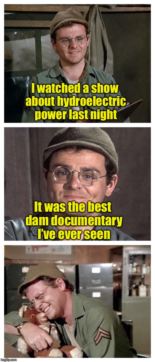 Dam funny pun |  I watched a show about hydroelectric power last night; It was the best dam documentary I’ve ever seen | image tagged in bad pun radar,memes,dam,bad pun | made w/ Imgflip meme maker