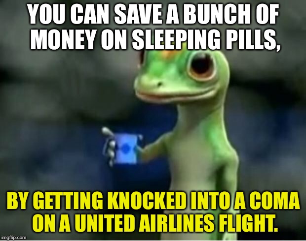 Black Eye, not red eye, on United Airlines | YOU CAN SAVE A BUNCH OF MONEY ON SLEEPING PILLS, BY GETTING KNOCKED INTO A COMA ON A UNITED AIRLINES FLIGHT. | image tagged in geico gecko,memes,united airlines,assault,sleep,pills | made w/ Imgflip meme maker