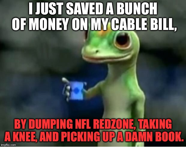Take a knee on NFL RedZone and read | I JUST SAVED A BUNCH OF MONEY ON MY CABLE BILL, BY DUMPING NFL REDZONE, TAKING A KNEE, AND PICKING UP A DAMN BOOK. | image tagged in geico gecko,memes,taking a knee,nfl,books,tv | made w/ Imgflip meme maker