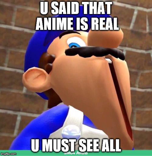 smg4's face | U SAID THAT ANIME IS
REAL; U MUST SEE ALL | image tagged in smg4's face | made w/ Imgflip meme maker