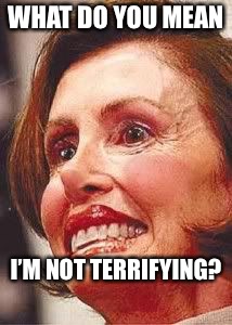 Ugly pelosi |  WHAT DO YOU MEAN; I’M NOT TERRIFYING? | image tagged in ugly pelosi | made w/ Imgflip meme maker